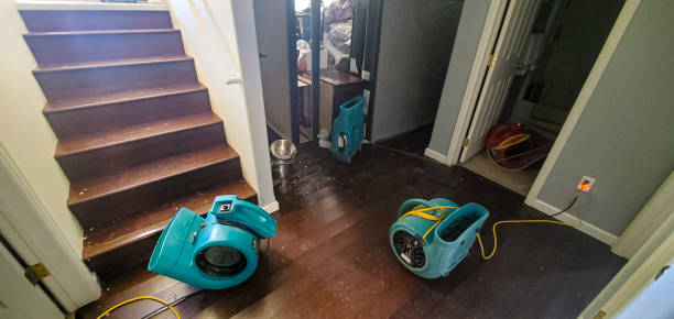 Best Emergency water damage restoration  in Rawls Springs, MS