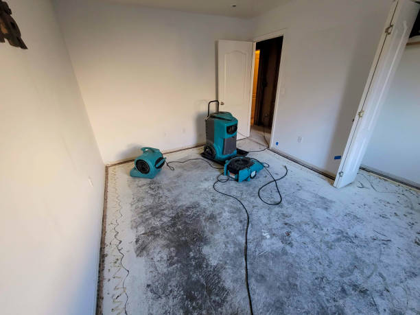 Water damage restoration mold remediation in Rawls Springs, MS