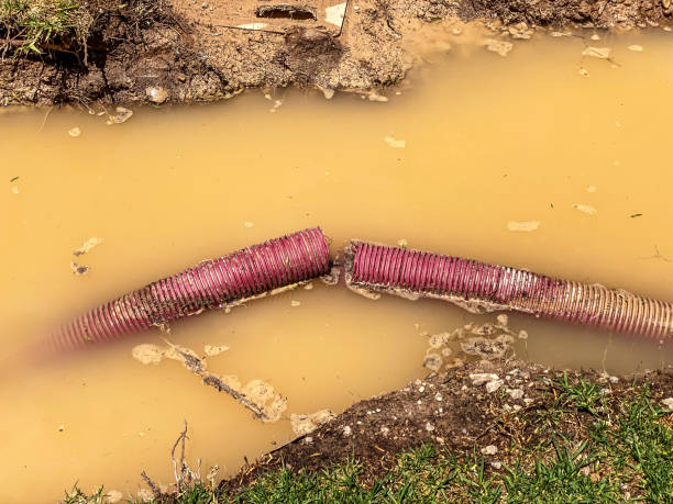 Best 24/7 water damage repair  in Rawls Springs, MS